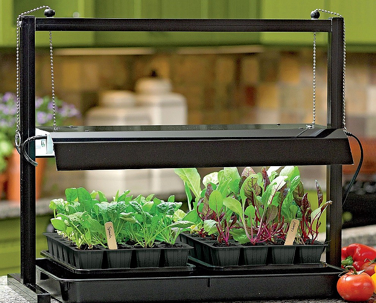 Tabletop light stands work well on kitchen counters and provide plenty of light for greens to grow. Photo courtesy of Gardener’s Supply Company